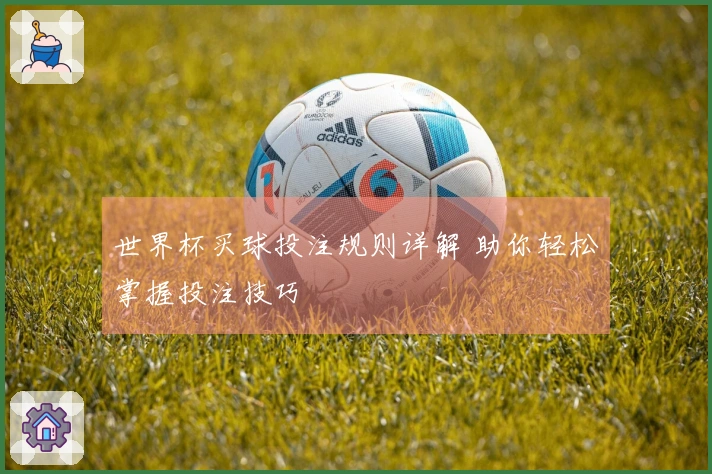 世界杯买球投注规则详解 助你轻松掌握投注技巧