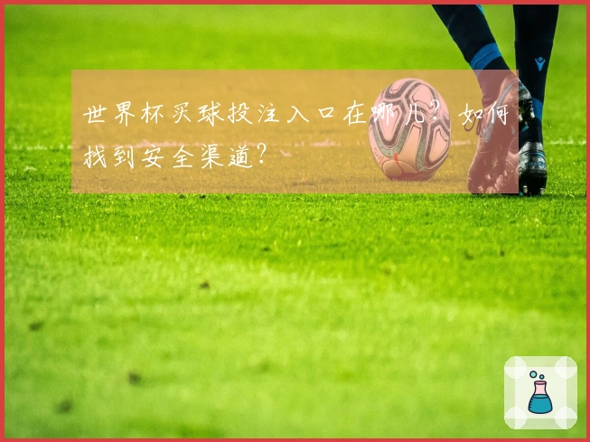世界杯买球投注入口在哪儿？如何找到安全渠道？