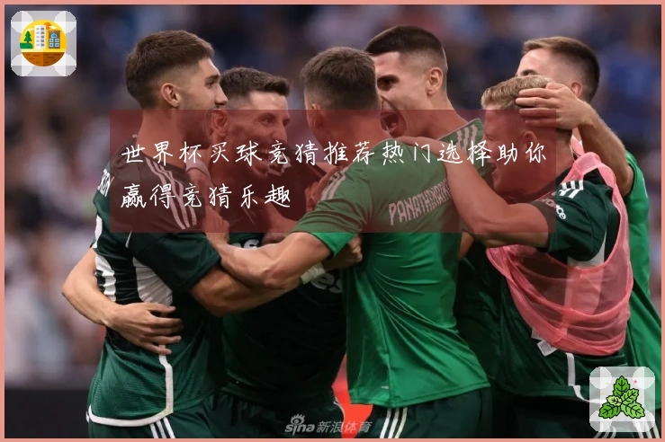 世界杯买球竞猜推荐热门选择助你赢得竞猜乐趣